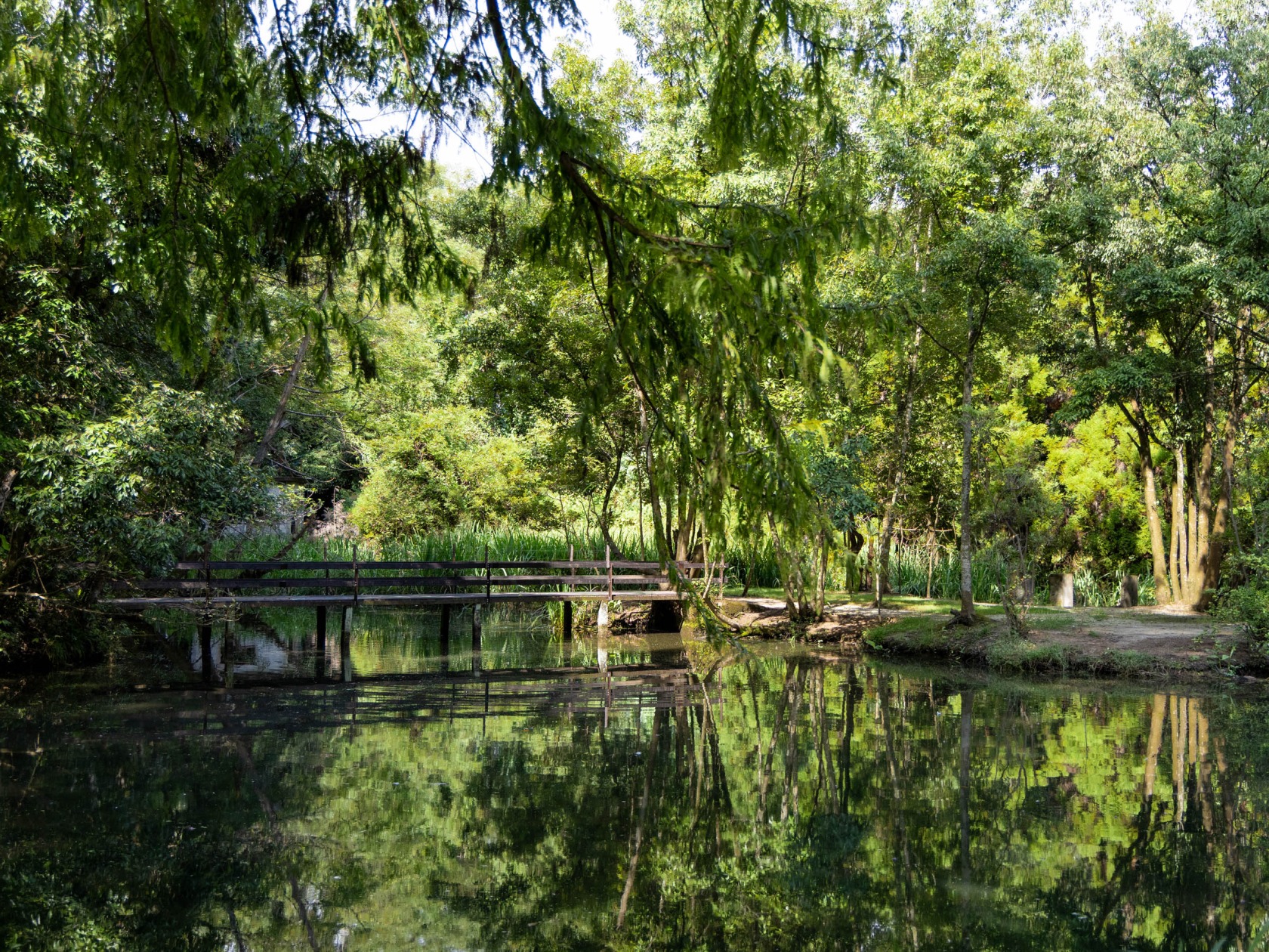 熊本の歴史画像3